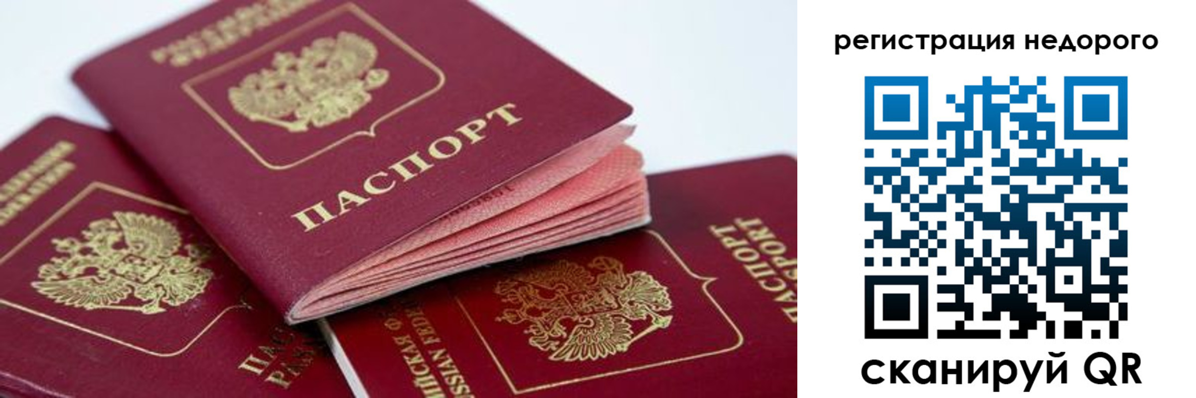 где прописаться в Волхове